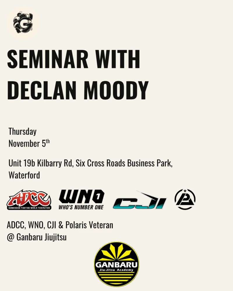 Declan Moody seminar