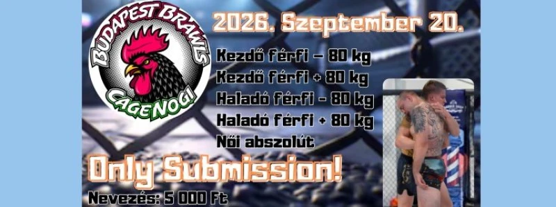 BRAWLS IX (NOGI ONLY SUBMISSION)