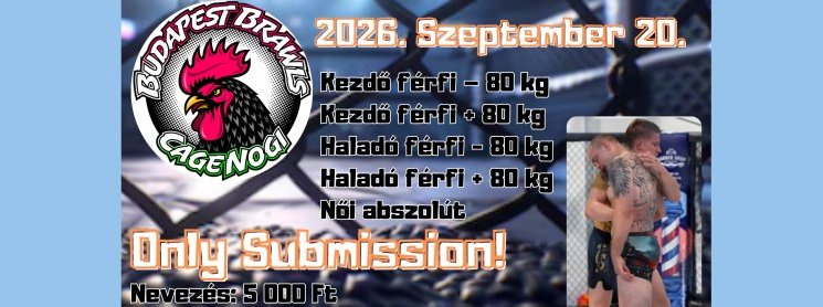 brawls-ix-nogi-only-submission-2026